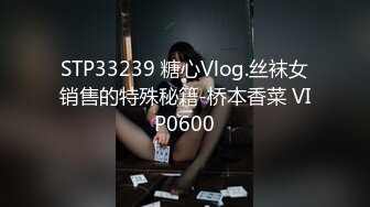 STP33239 糖心Vlog.丝袜女销售的特殊秘籍-桥本香菜 VIP0600