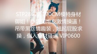 STP28627 170CM模特身材御姐！小奶狗炮友激情操逼！吊带黑丝情趣装，翘起屁股求操，侧入身材骚逼 VIP0600