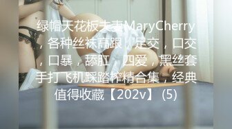 绿帽天花板夫妻MaryCherry，各种丝袜高跟，足交，口交，口暴，舔肛，四爱，黑丝套手打飞机踩踏榨精合集，经典值得收藏【202v】 (5)