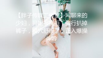 【胖子传媒工作室】网聊来的少妇，开始很抗拒，强行扒掉裤子，摸穴舒服了，正入爆操呻吟