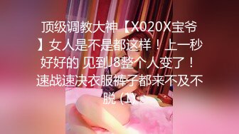 顶级调教大神【X020X宝爷】女人是不是都这样！上一秒好好的 见到J8整个人变了！速战速决衣服裤子都来不及不脱 (1)