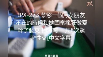 IPX-273 禁慾一個月女朋友不在的時候和她閨蜜瘋狂做愛幹了個爽 相澤南 一共8次緊密性交[中文字幕]