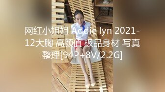 网红小姐姐 Addie lyn 2021-12大胸 高颜值 极品身材 写真整理[94P+8V/2.2G]