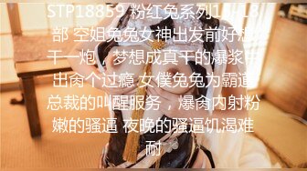 AI绘画 人工智能 SSS级模型模拟真人 丁香姑娘 旗袍 国风 无修正