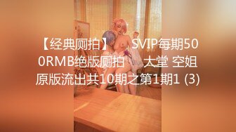 【经典厕拍】✅✅SVIP每期500RMB绝版厕拍❤️大堂 空姐原版流出共10期之第1期1 (3)