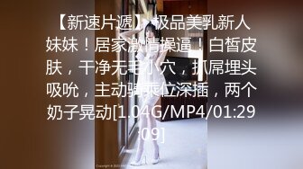 MFK-0026年轻的家政妇