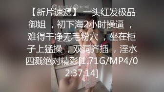 【近日刚播颜值女神】性感又很骚，蓝色道具假屌美臀骑坐，超近视角从下往上插，揉搓美乳到卫生间自慰，娇喘呻吟非常好听