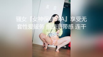 ❤️温柔典雅❤️非要我穿上高跟黑丝满足他的恋物癖，超级羞耻高铁厕所挑战 高铁厕所真是梦想场景 看着自己发骚的样子好害羞 (5)