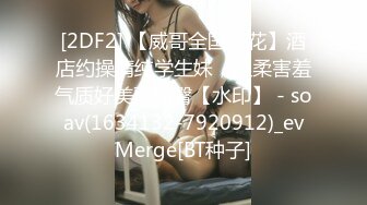 [2DF2] 思瑞 黑丝 - soav(1690201-4233045)_evMerge[BT种子]