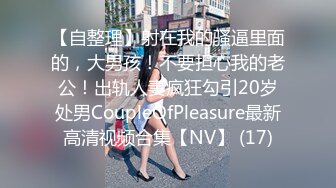 HPP0004 麻豆AV 番外 麻豆导演系列 仙人跳跳跳 李文静