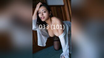 033 (101)