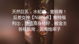 天然巨乳，水蛇腰，蜜桃臀！反差女神【Naimei】推特福利③，顏值高身材好，被金主各種玩肏，完美炮架子