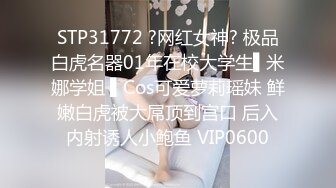 兔子先生 TZ-063美女绫波丽的炮机初体验