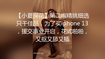 【良家故事】良家收割机，探探勾搭人妻，嘘寒问暖博得好感，情绪价值给满了直接开操 (2)