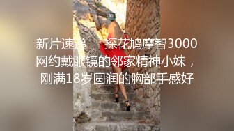 2024年3月秀人网女神【晚苏susu】高价出售精品性感黑丝空姐，揉奶漏奶头 ，美足尤物挑逗你的感官 (3)