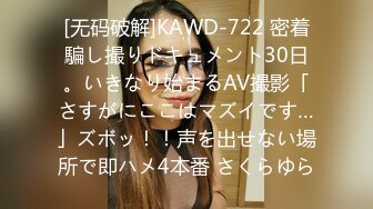 骚母狗女仆后入