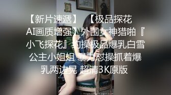 【新片速遞】  【极品探花❤️AI画质增强】外围女神猎啪『小飞探花』约操极品爆乳白雪公主小姐姐 暴力怼操抓着爆乳两边晃 超清3K原版 