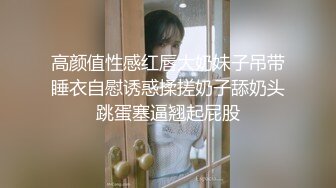 家中调教的小狗奴狗盘上尿尿