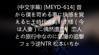 (中文字幕) [MEYD-614] 昔から僕を苛める事に快感を覚えるヒモ時代の飼い主様（今は人妻）に偶然遭遇！ 恋人との旅行中なのに悪魔の追撃フェラ逆NTR 松本いちか