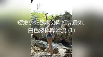 牛B大神商场女厕暗藏摄像头偷窥53位美女少妇嘘嘘 (27)