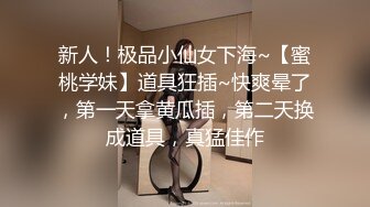 亚洲女仆在肮脏的铁杆中尝试两只公鸡