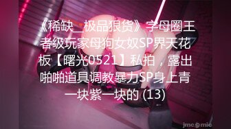 《稀缺__极品狠货》字母圈王者级玩家母狗女奴SP界天花板【曙光0521】私拍，露出啪啪道具调教暴力SP身上青一块紫一块的 (13)