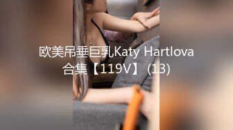 欧美吊垂巨乳Katy Hartlova合集【119V】 (13)