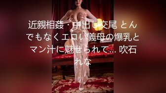 近親相姦・中出し交尾 とんでもなくエロい義母の爆乳とマン汁に魅せられて… 吹石れな