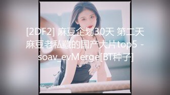 [2DF2] 麻豆企划30天 第二天麻豆老私藏的国产大片top5 - soav_evMerge[BT种子]