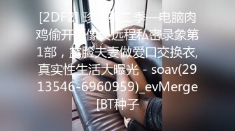 [2DF2] 珍藏第二季—电脑肉鸡偷开摄像头远程私密录象第1部，露脸夫妻做爱口交换衣,真实性生活大曝光 - soav(2913546-6960959)_evMerge[BT种子